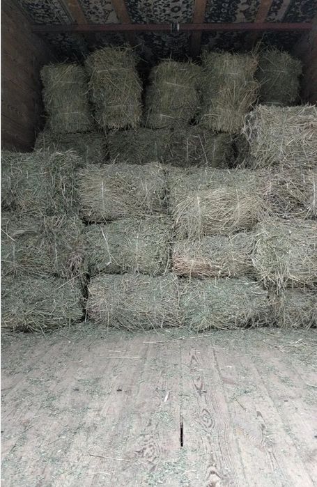 Жоңышқа прес сатылады