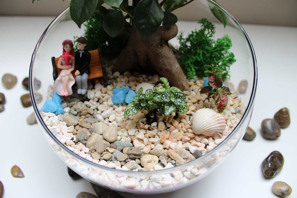 Флорариум с бонсай - подарък за рожден ден и др поводи
