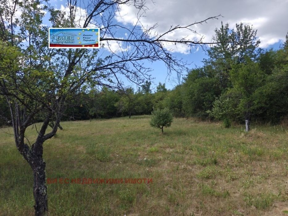 Упи - 1563 м2 в с. Прибой