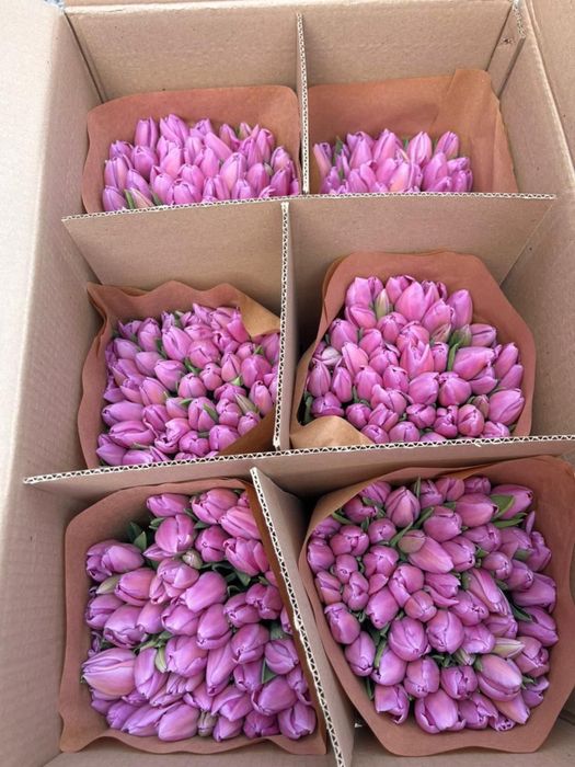 Тюльпаны хрустящие 680 тг/шт