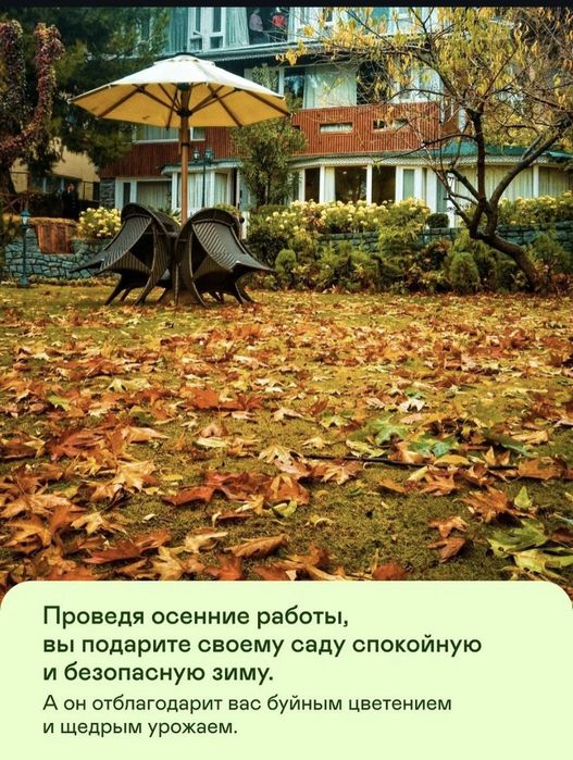 Комплексный уход за газоном и хвойными.