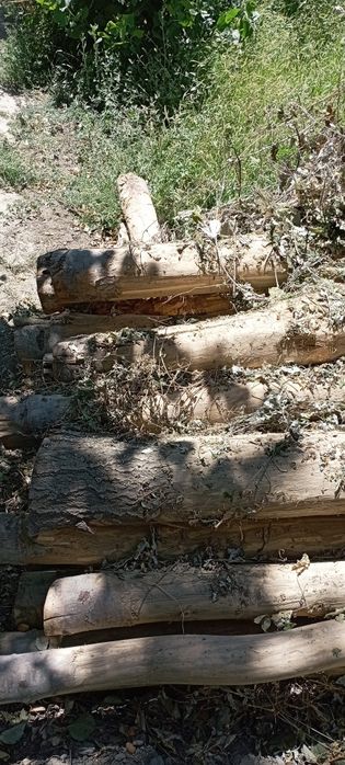 Teraklar sotiladi 6M