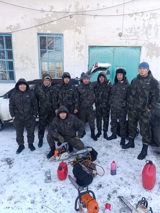 Спил деревьев обрезка дерево алматы