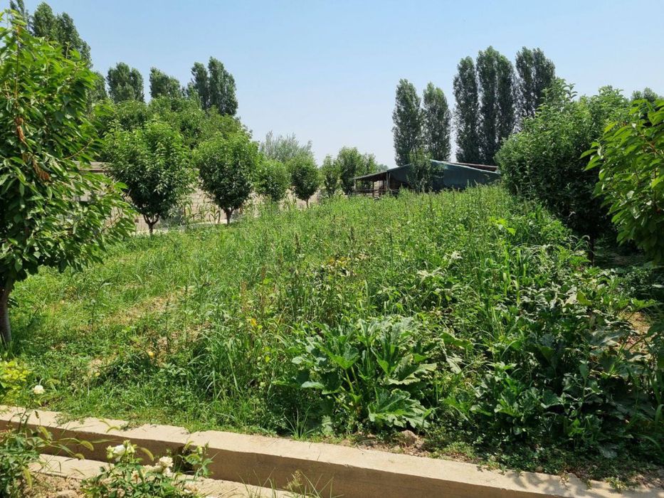 Сдается Янгиюле(халкабад) в аренду 2ух комнатное жилое помещение