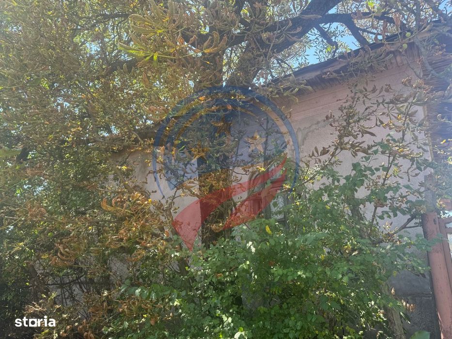Teren/ casa demolabila Dutulesti