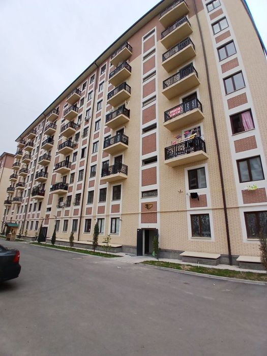 Бек барака домлари