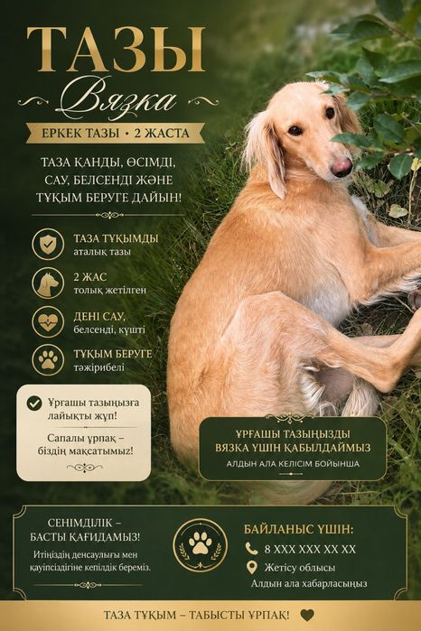Вязка тазы собака