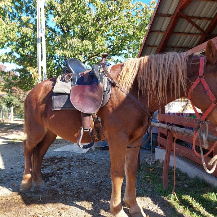 De vanzare sa Australina