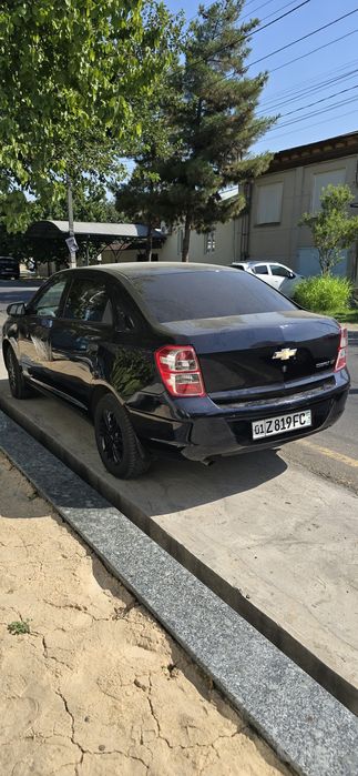 Кобалт 2023  срочни