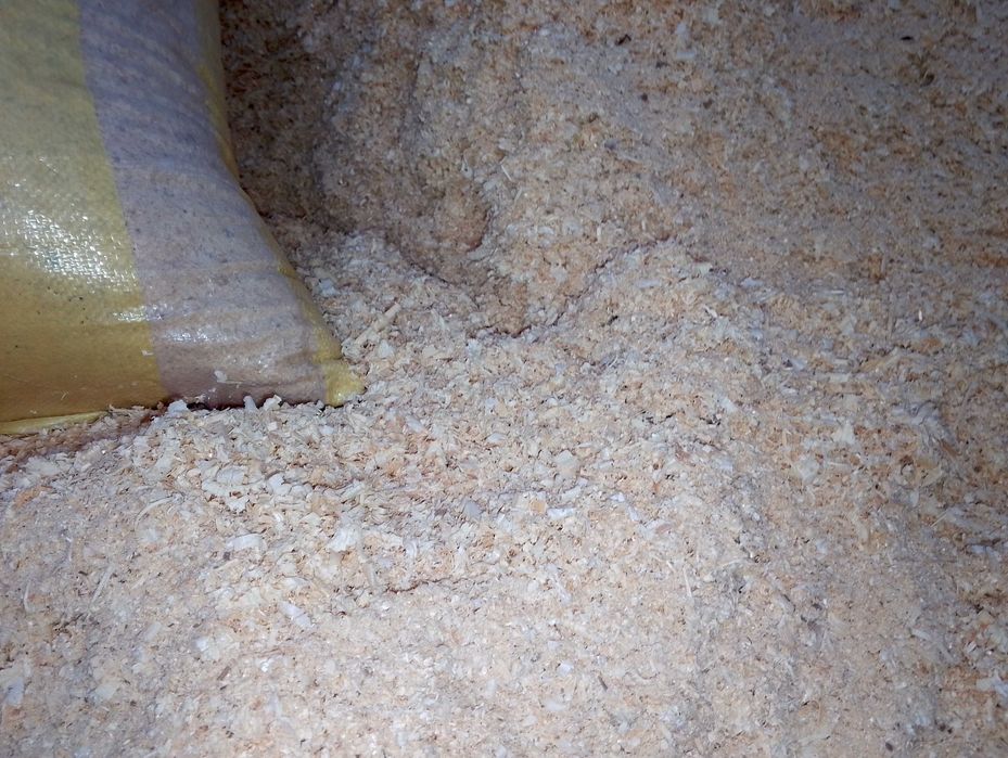 Продается опилки белая сосна