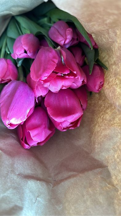 Тюльпаны оптом по брони