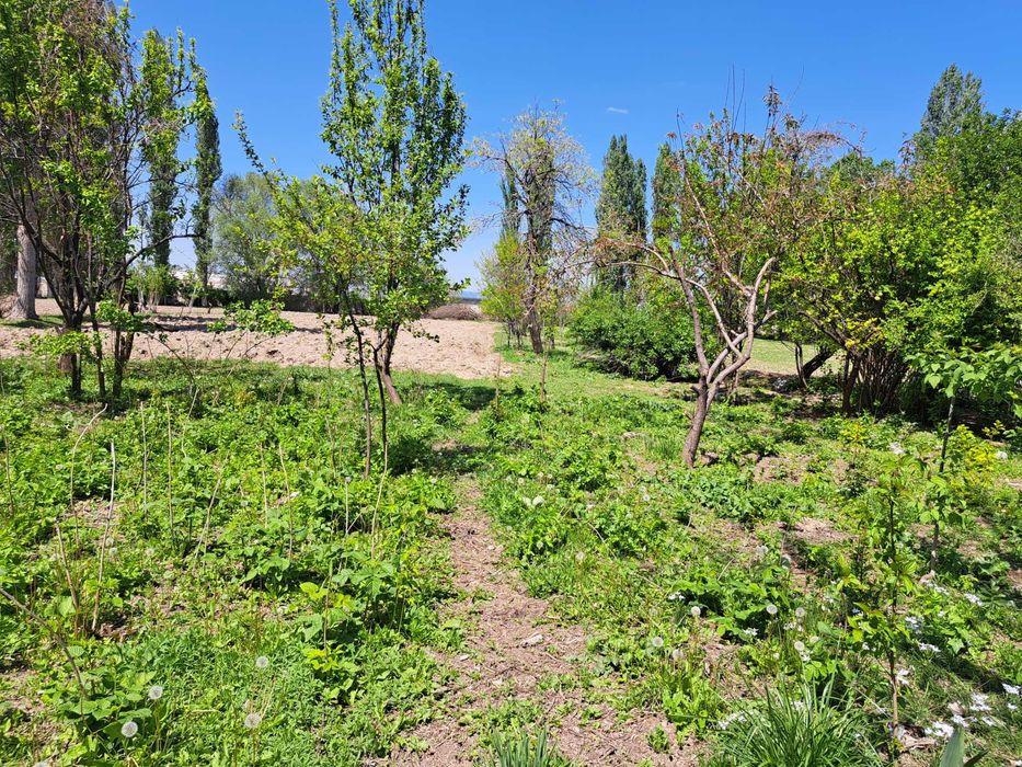 Продаётся дом в селе Гродеково.