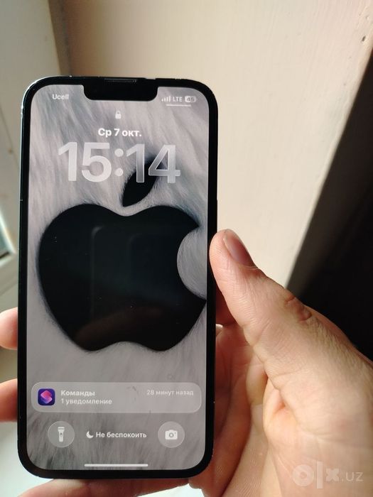 Iphone 13 sotiladi