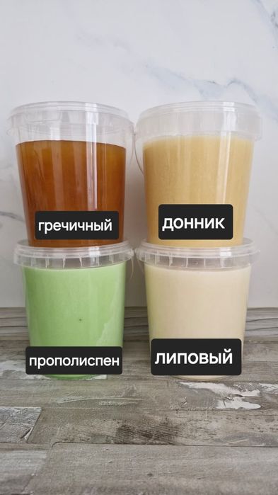 Бал (Мёд) Катон Қарағайдікі