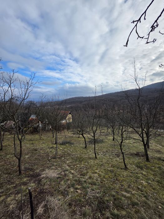 Teren intravilan