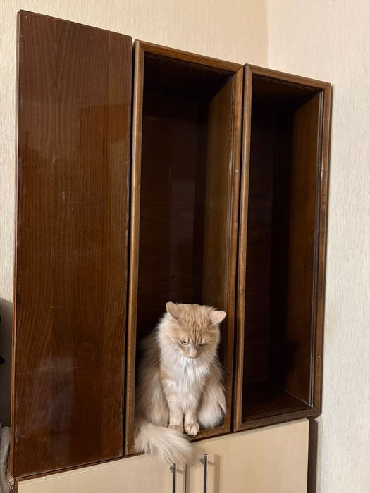 Полки книжные деревянные