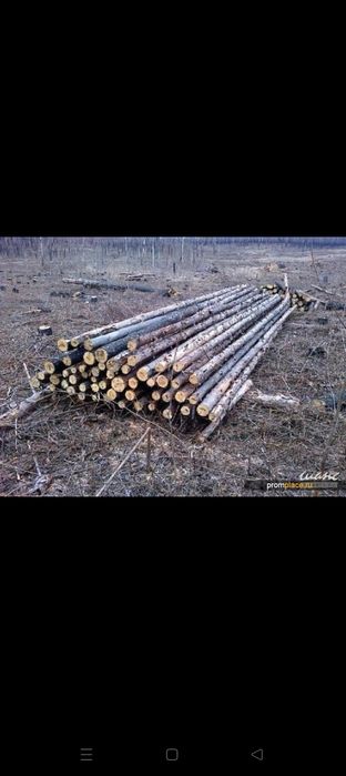 Жерди от 6 до 15 разнабой