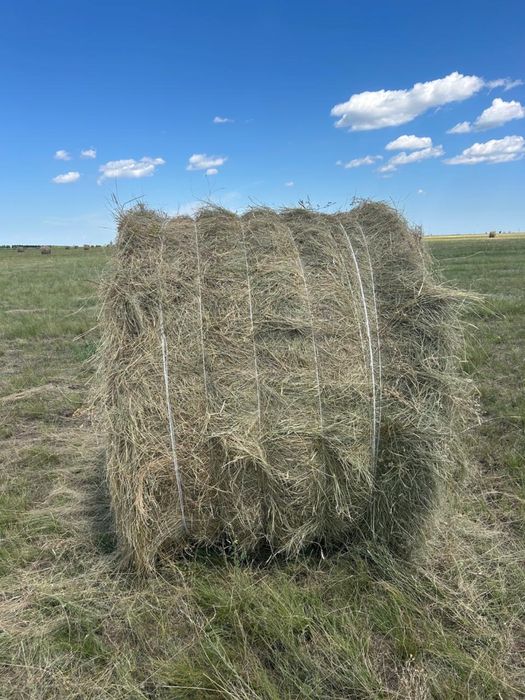 Продается сено    .