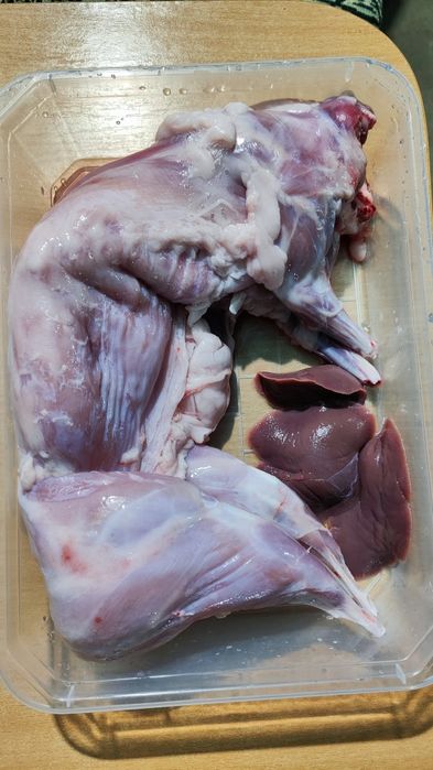 Калифорнийски зайци