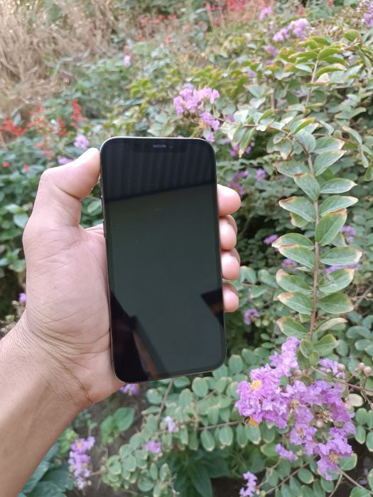 Iphone 12 pro srochniga