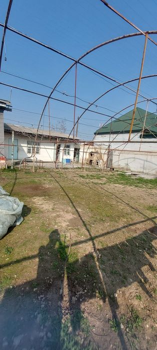 Ер сотилади Садвин савхозда