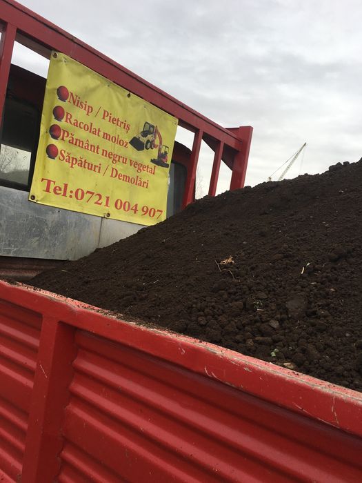 Pamant vegetal cernut