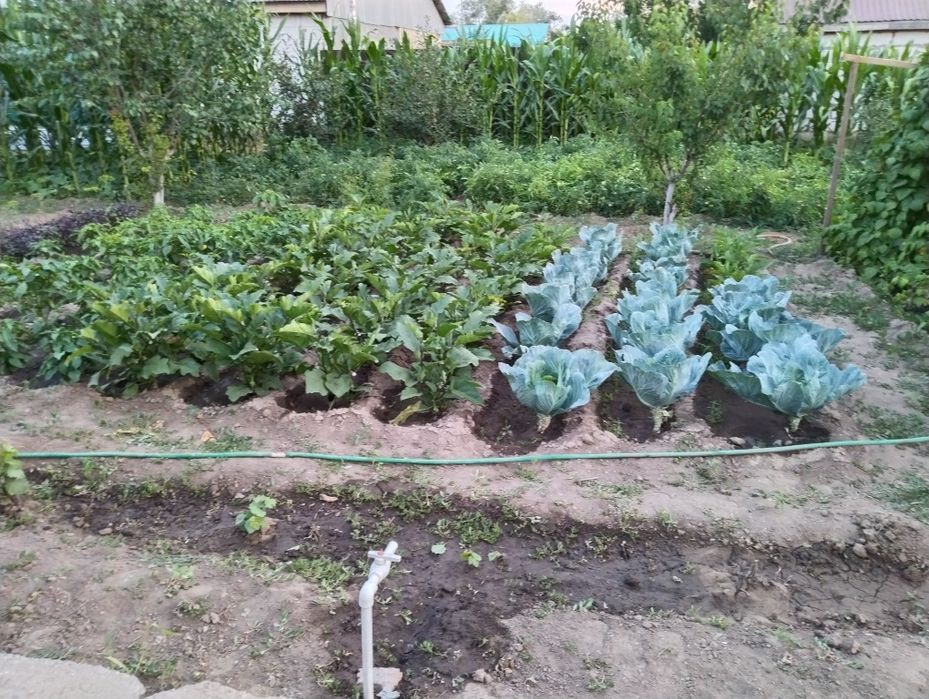 Продам дом 12 соток земли