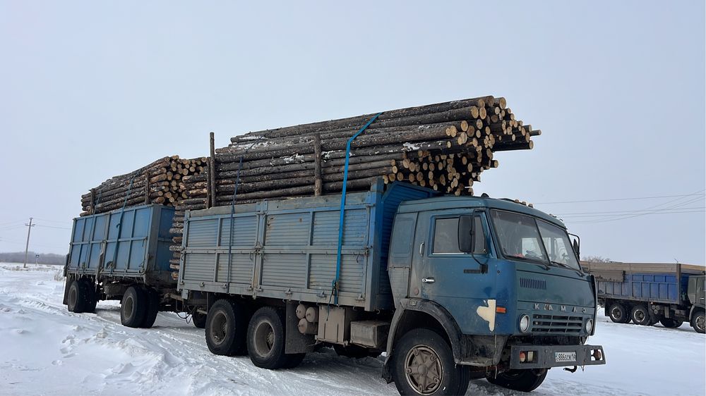 Прдам жердей сыргауыл