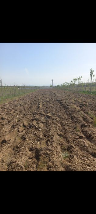 Участок 25 соток 20×125 метров