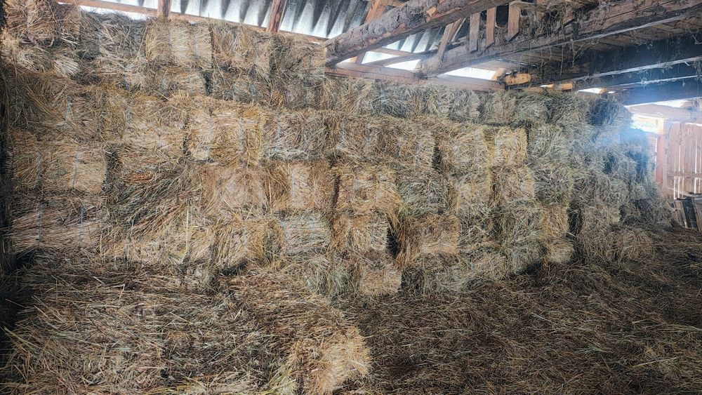 Vând baloți de fân