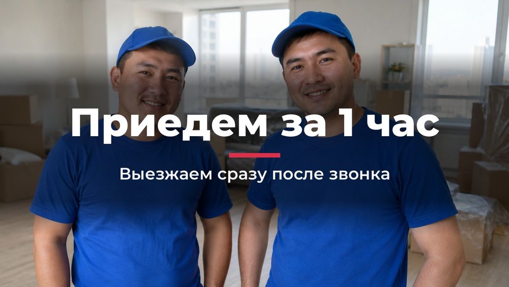 Переезд в Шымкенте недорого
