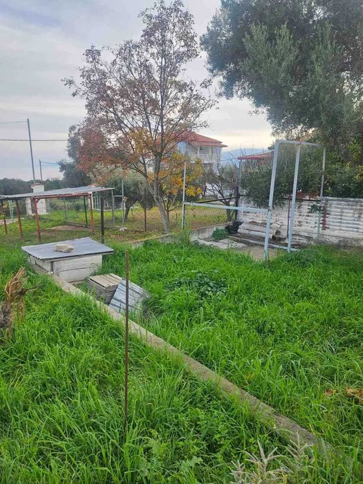 Ремонтирана къща в Аспровалта – Серейки Акти!