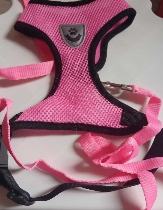 Аксесоари за котка