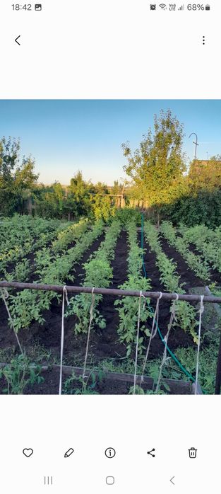 Продам дачу 18 маршрут