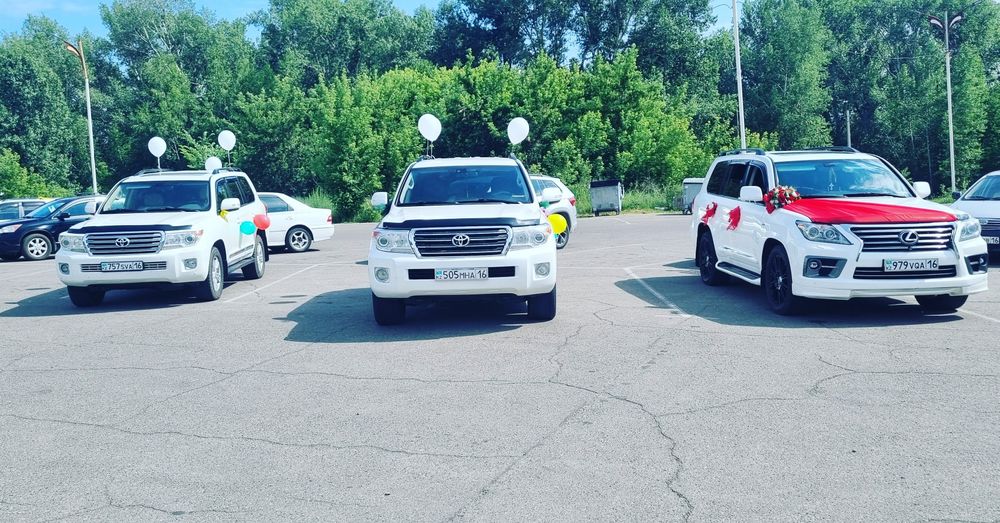 Сдам   в аренду !