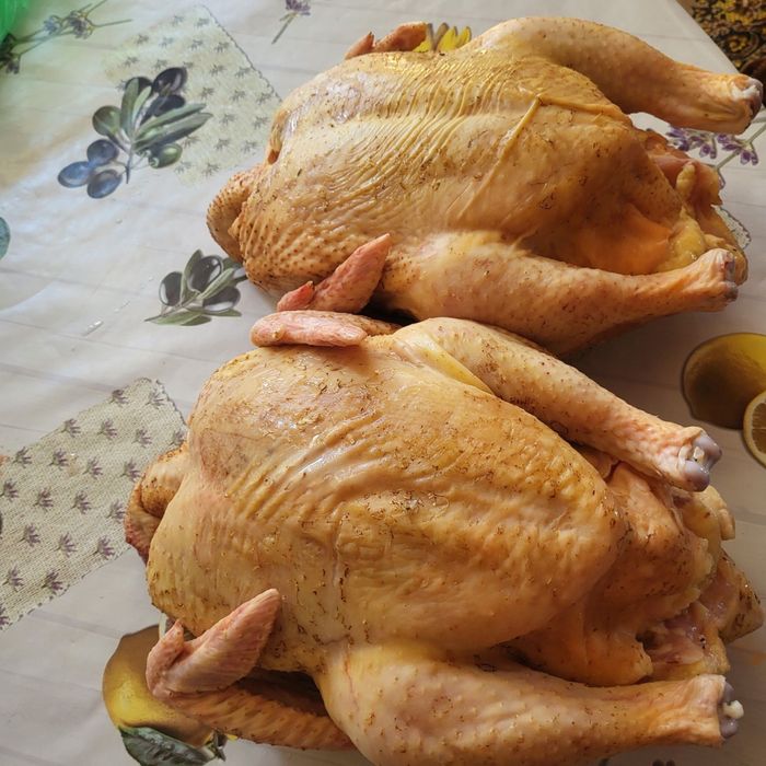 Домашние курочки бройлера (Халяль)