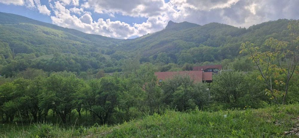 Teren 2700mp in Poiana Galdei