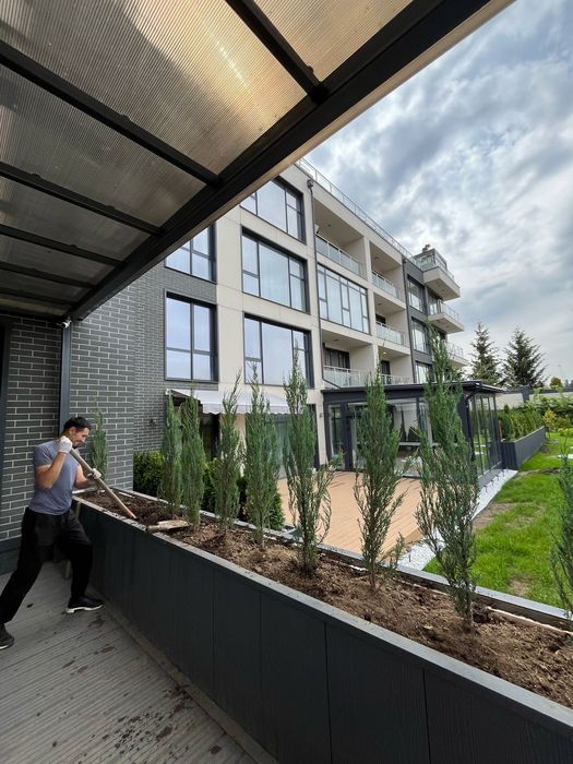 Ёлки все виды есть