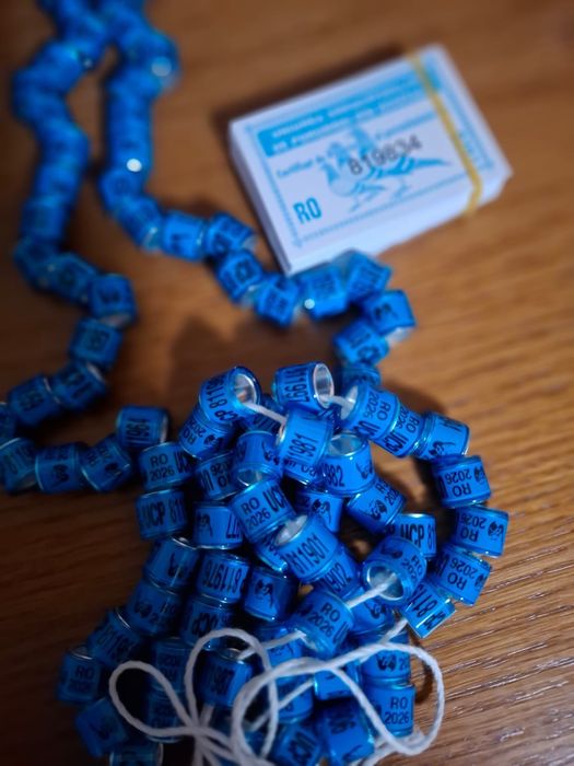 Inele 2026 pt porumbei de ornament si pasari de curte