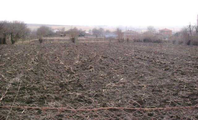 Парцел в Минково