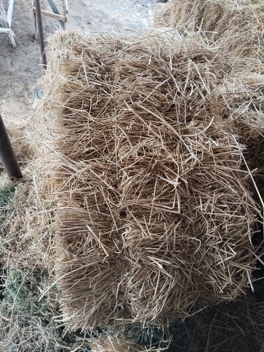 Продам тюки клевера.