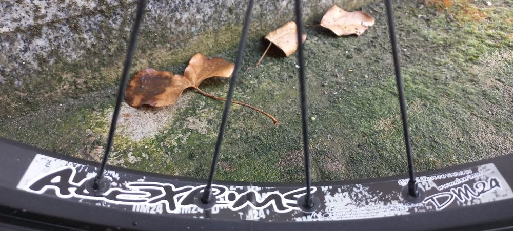 Dirt jump DMR sect + 26"