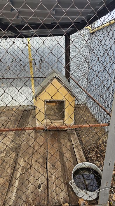 Продам вольер вальер для собаки