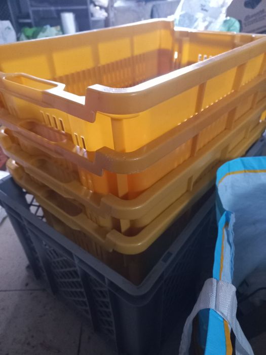 Lăzi plastic robuste