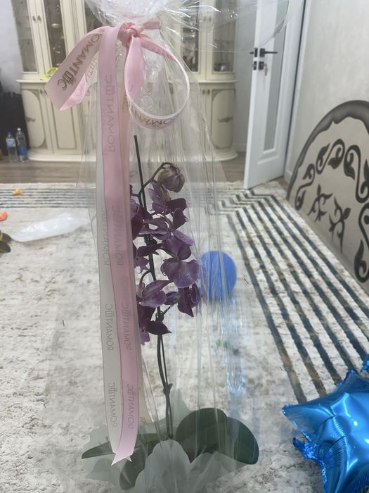 Архидея, очень красивые продам за 7 тысячи