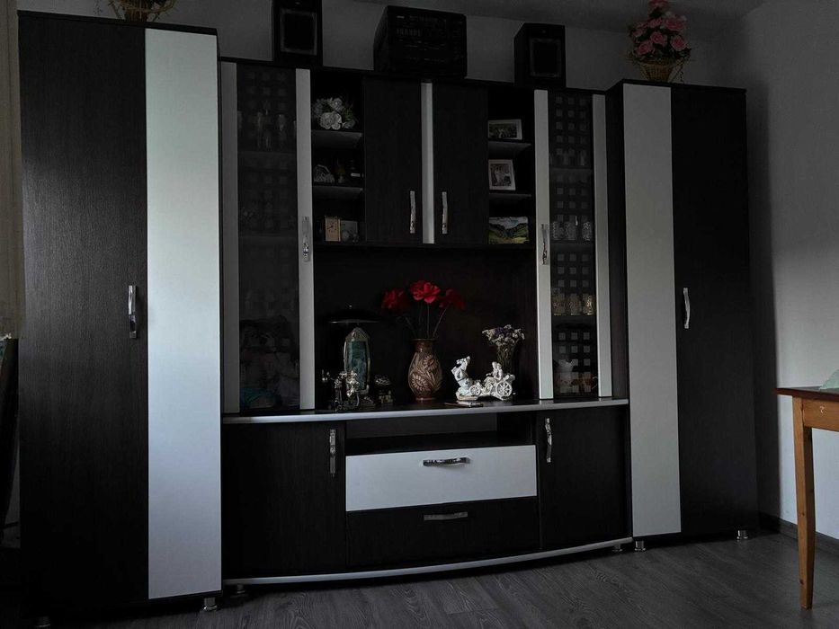 Apartament de vanzare copsa mica