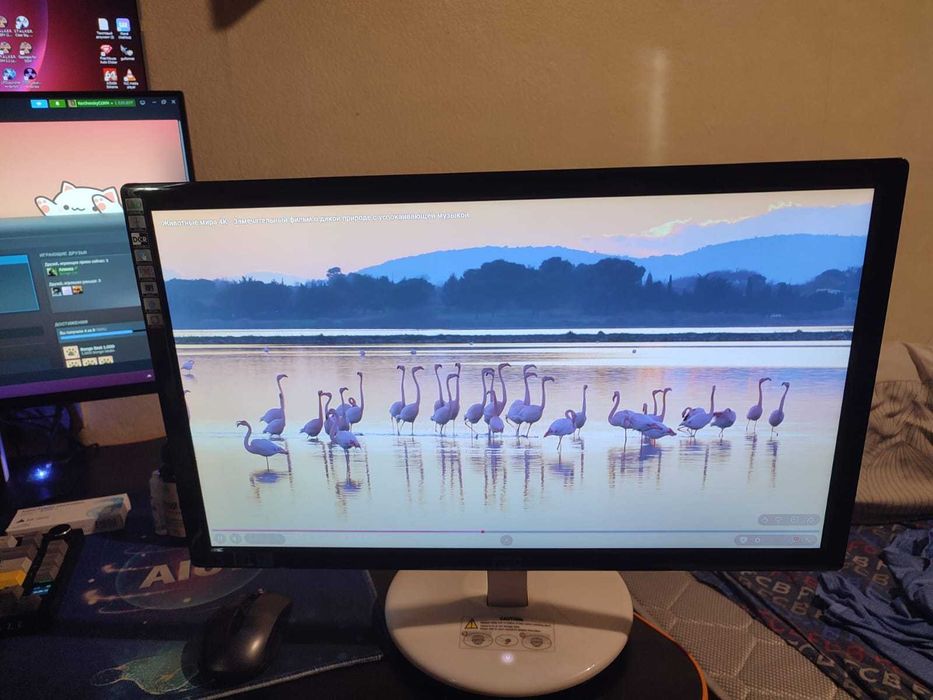 Монитор AOC E2243Fw 22 "