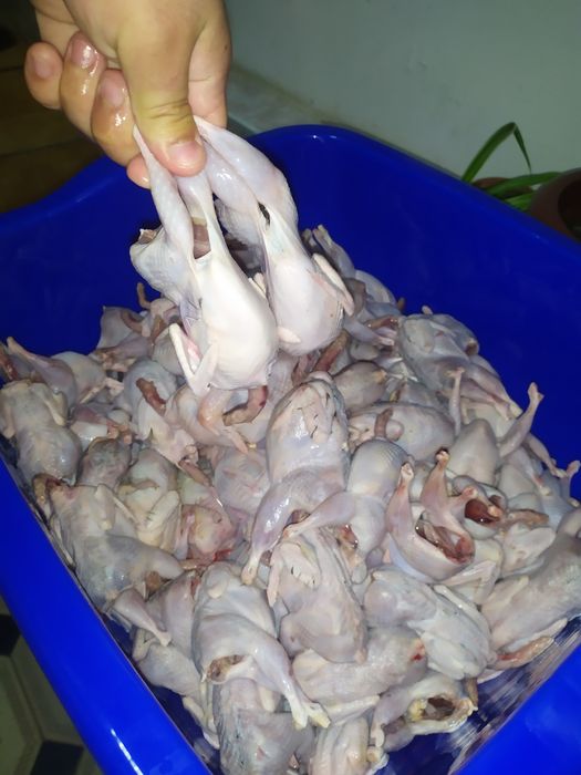 Беданалар сотилади