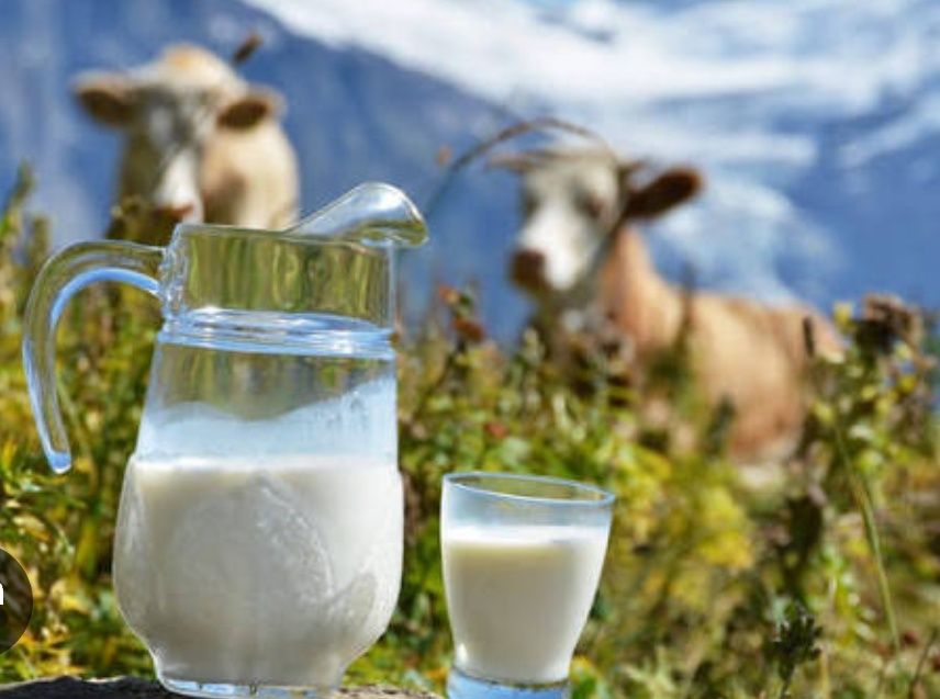 Молоко коровье домашнее