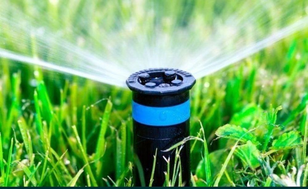 Уругда  газон сепамиз ,полиф система, рулонные  газон.